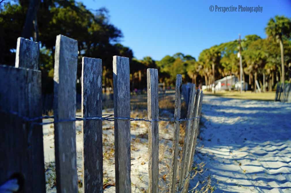 Beach Fence