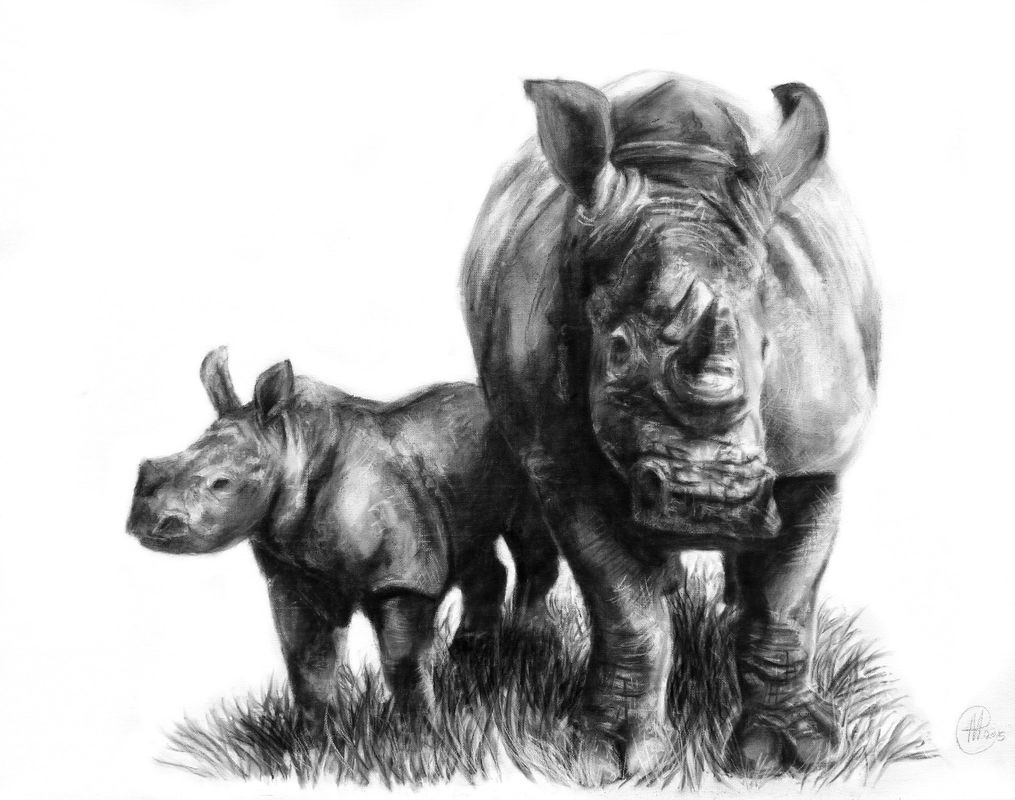 Rhino and Calf