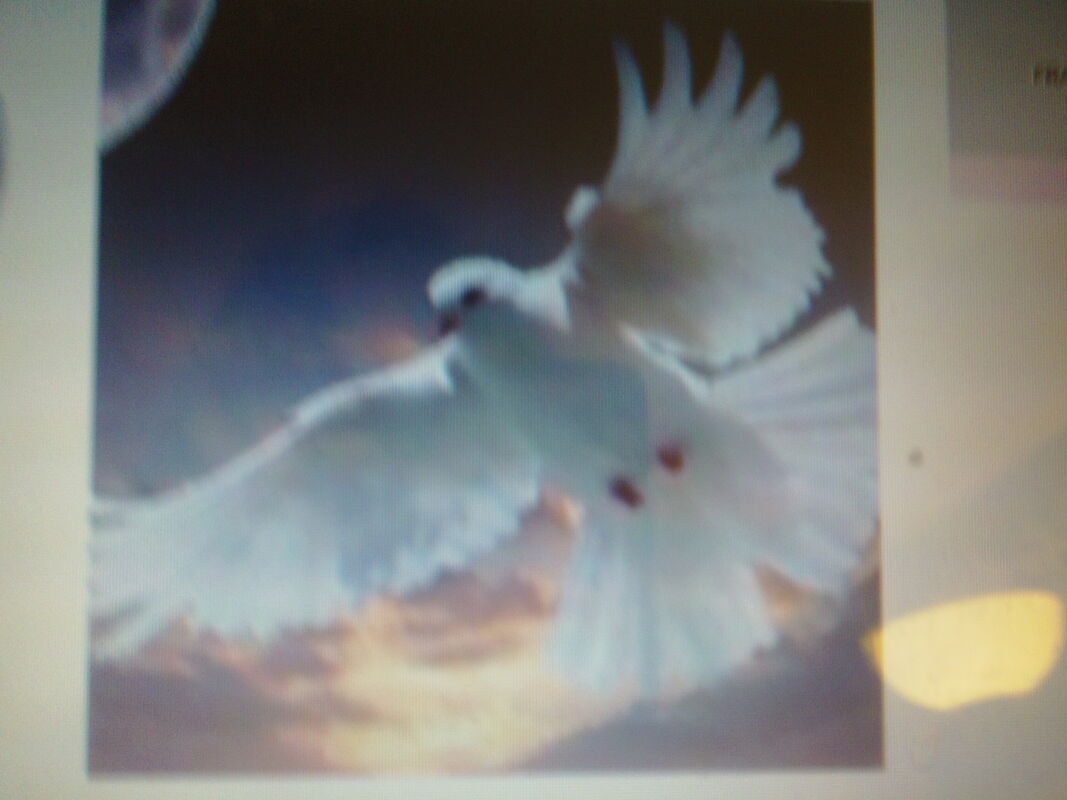 Flying Free
