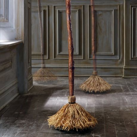 WITCHES BROOM