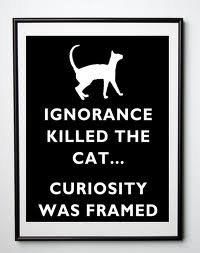 &quot; DID CURIOSITY ...KILL THE CAT &quot;!?X