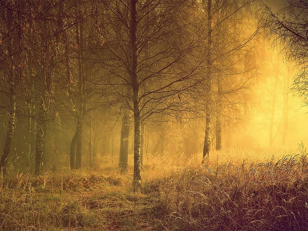 RADIANCE OF MORNING
