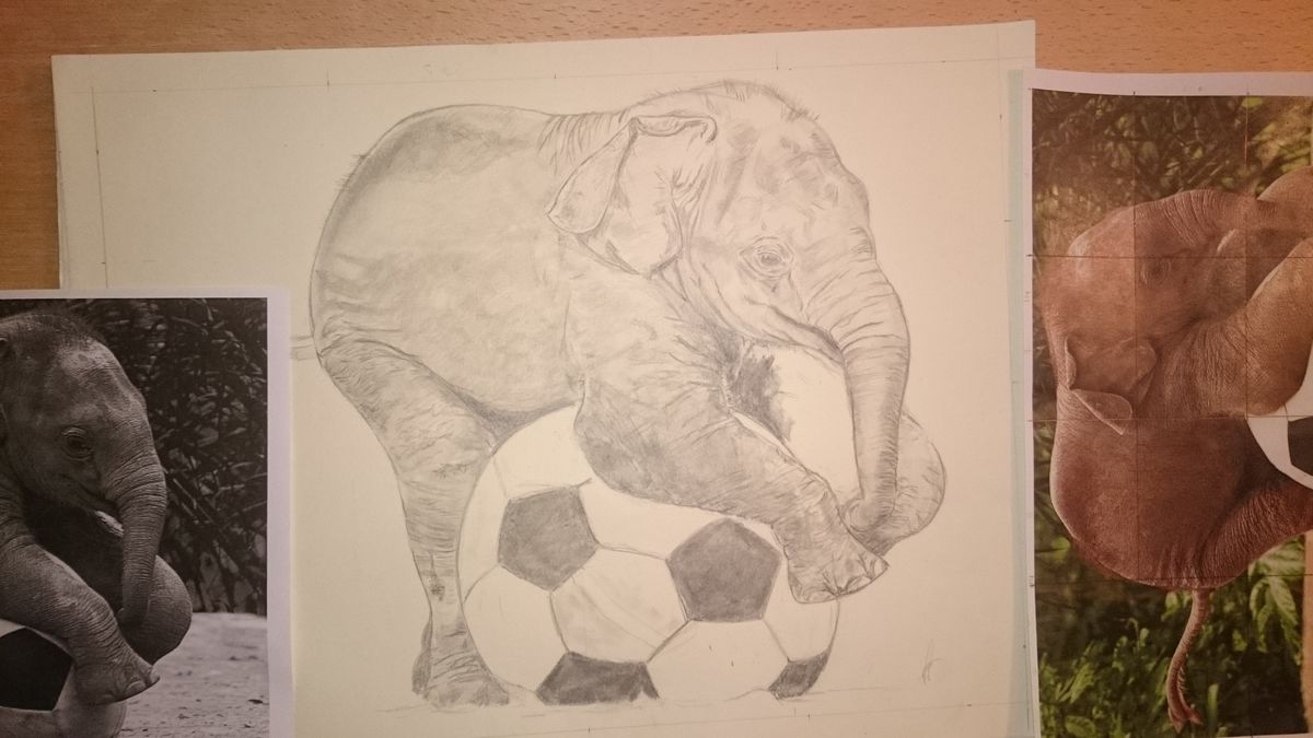 Baby elephant Baby elephant