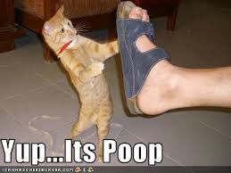 Check Your Sole At The Door Check Your Sole At The Door