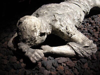 IN OUR OWN POMPEII IN OUR OWN POMPEII