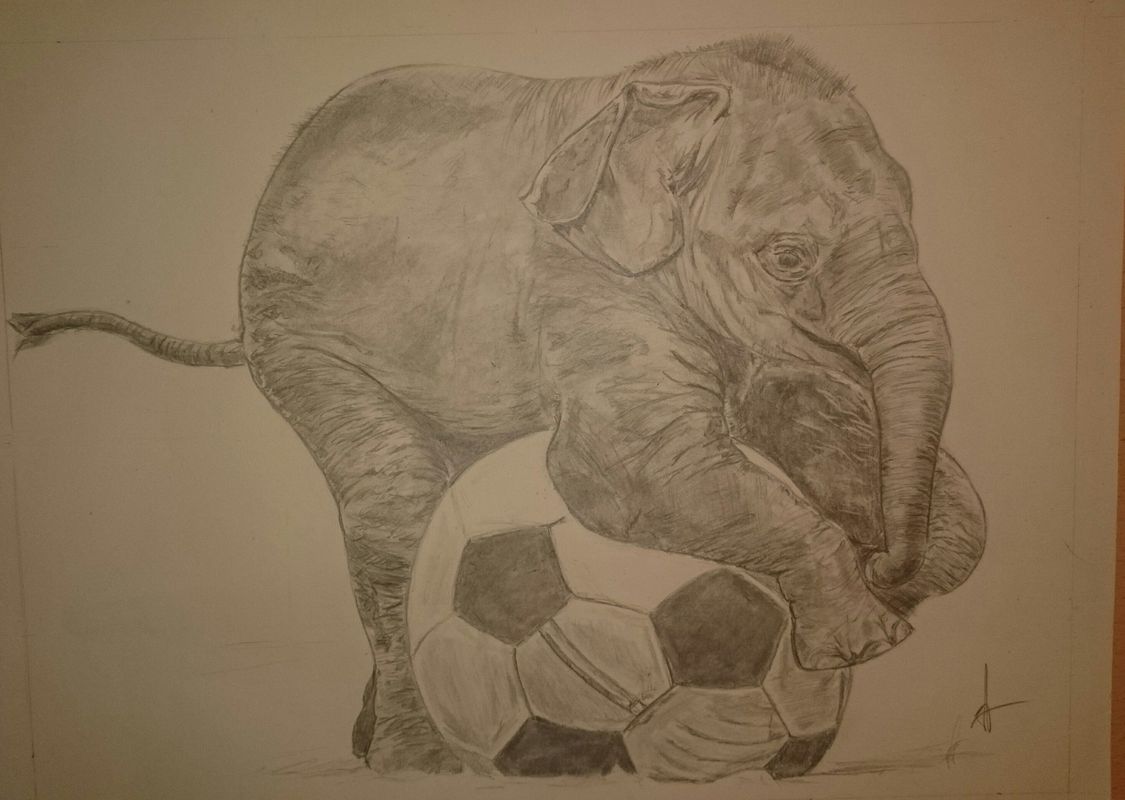 baby elephant finished :) baby elephant finished :)