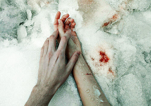Cold Blood