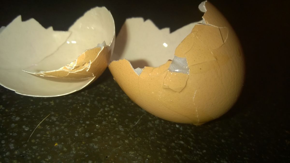 Eggshells