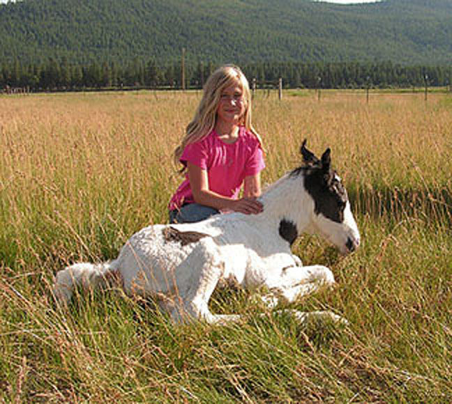 My Horse My Horse