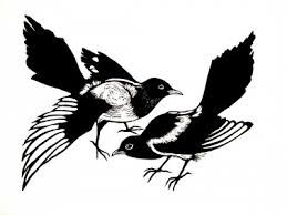 Magpies Magpies