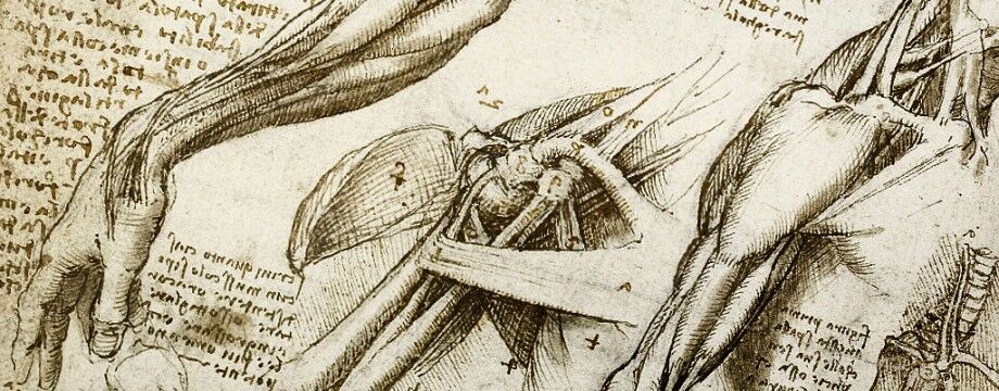WHY WATER (Leonardo’s Mystery into the Universe) WHY WATER (Leonardo’s Mystery into the Universe)