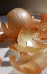 ONION ONION