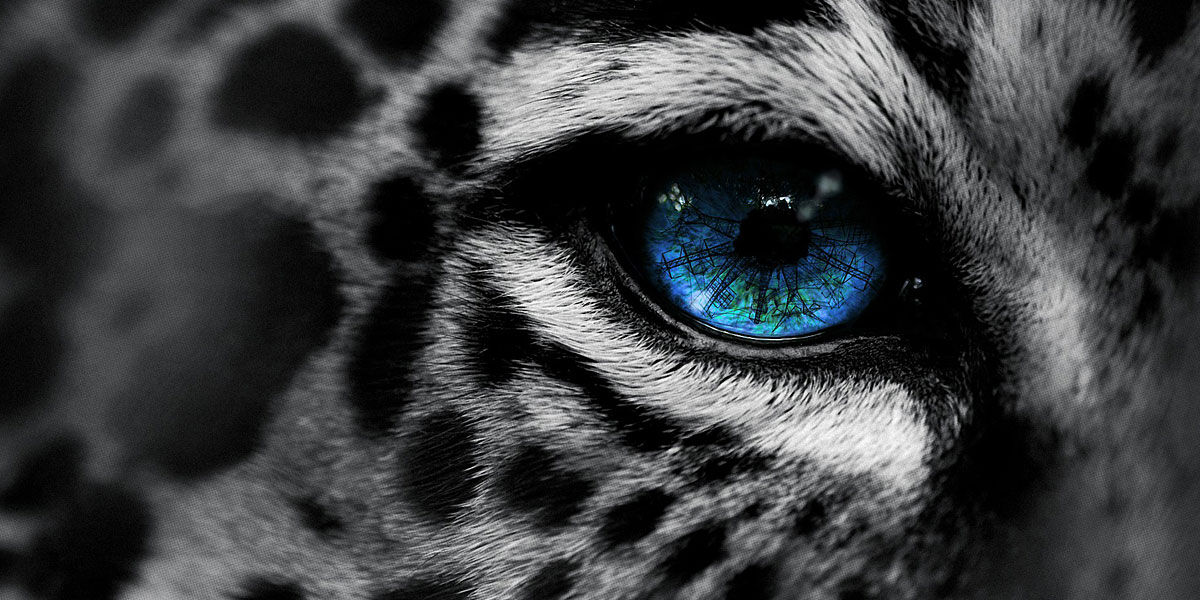 RESIDING COLOR RESIDING COLOR