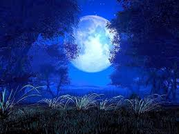 A Moonlit Night