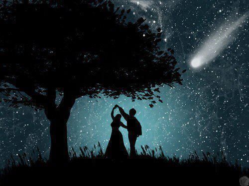 The Stars The Stars