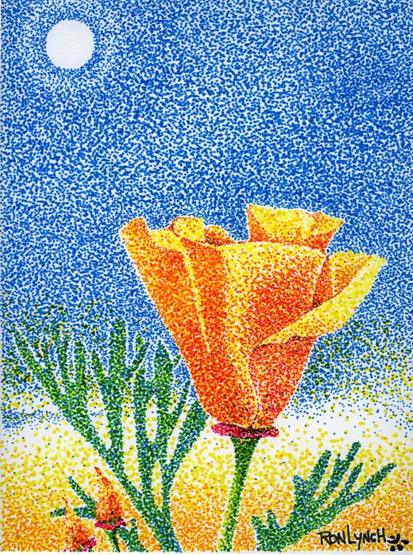 California Poppy
