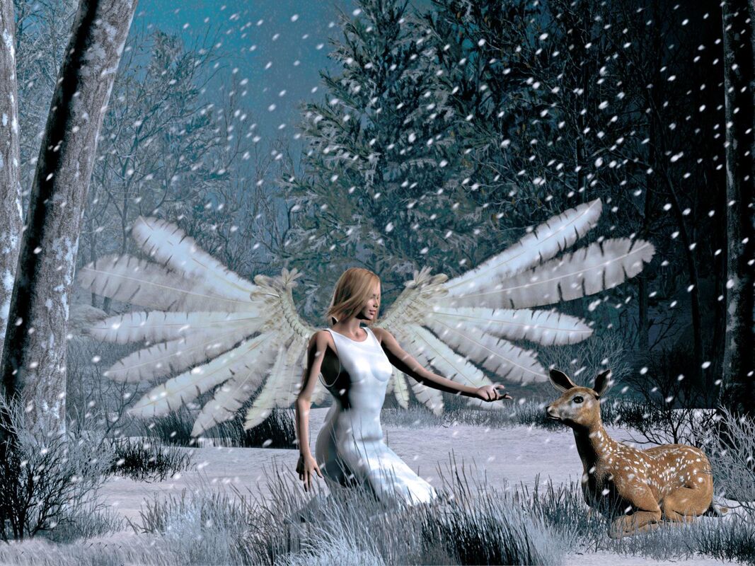 &quot; ANGEL WOODS &quot;