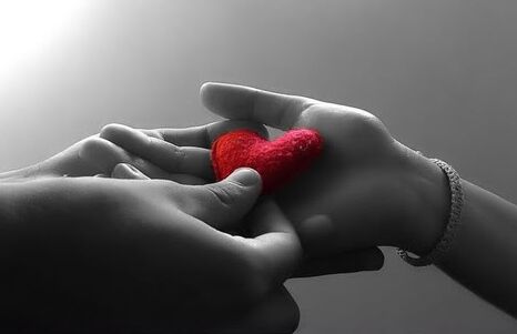 My Heart With You My Heart With You