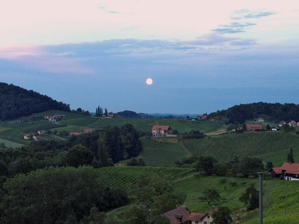 PLUCK THE MOON PLUCK THE MOON