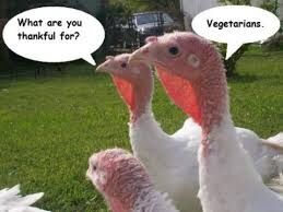 " WHATS TO BE THANKFUL FOR "!?X " WHATS TO BE THANKFUL FOR "!?X