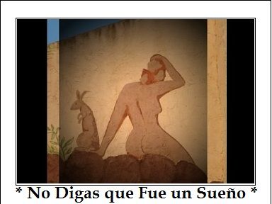No Dir que Era un Somni No Dir que Era un Somni