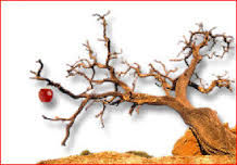 The Broken Tree