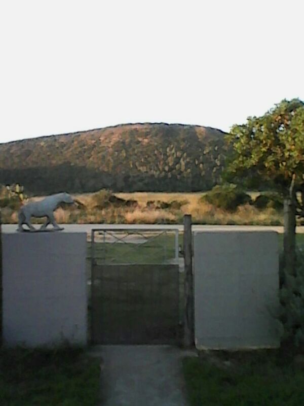 looking out my front door :-)