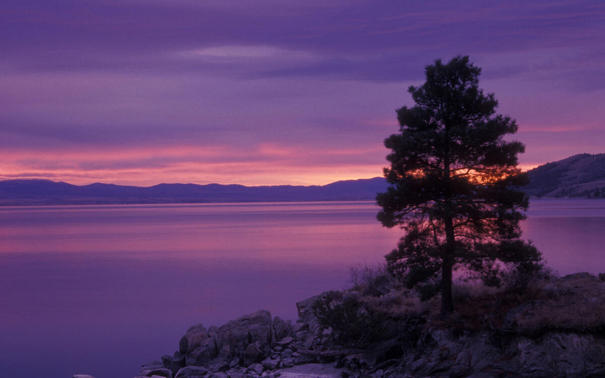 The Dawn The Dawn