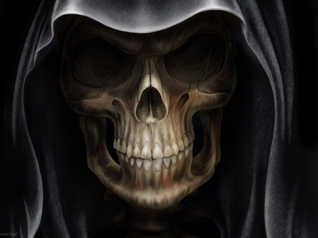 Meeting Death Meeting Death