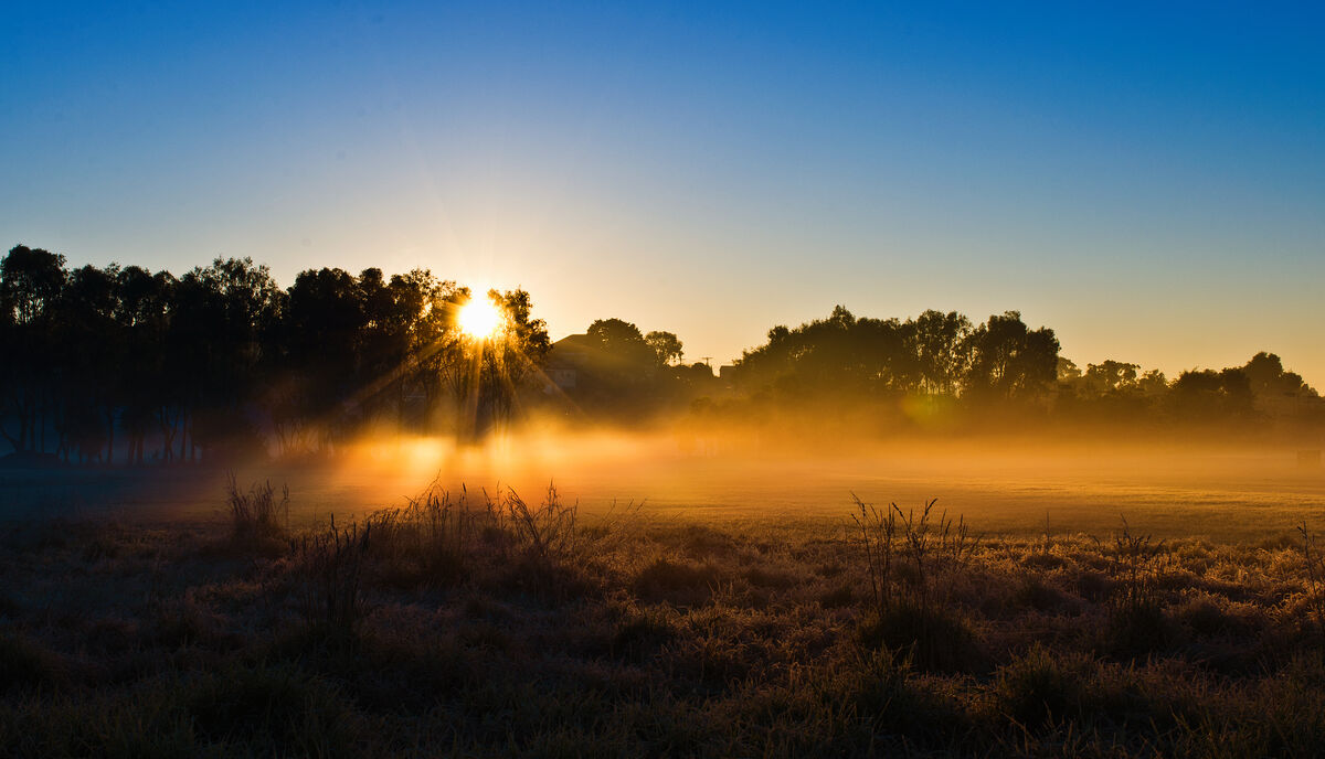 Loves First Light Loves First Light