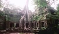 The Ruins The Ruins