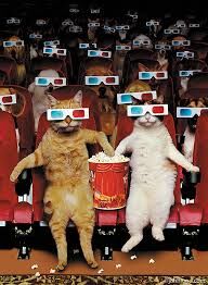 &quot; CAT.ASTROPHE-IN 3 D !&quot;?X