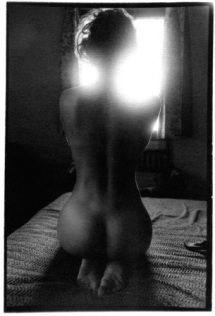 White light Muse White light Muse