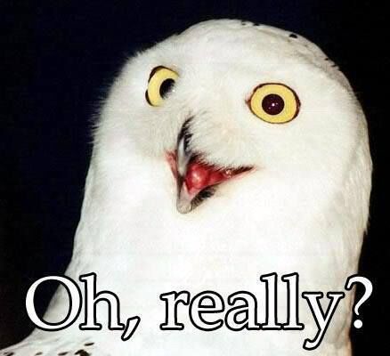 " WISE, OLD OWL !"?X " WISE, OLD OWL !"?X