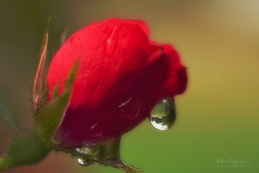 ~~MANY DON’T KNOW WHAT LOVE REALLY IS