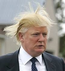 Donald Trump Card Donald Trump Card