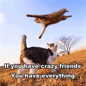 My Crazy Friends My Crazy Friends