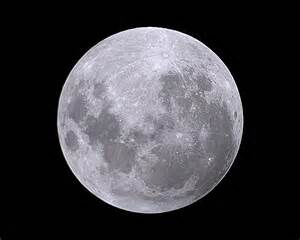 To The Moon To The Moon