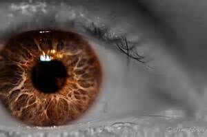 IRIS OF THE EYES IRIS OF THE EYES