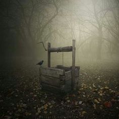 Forgotten Wishing Well Forgotten Wishing Well