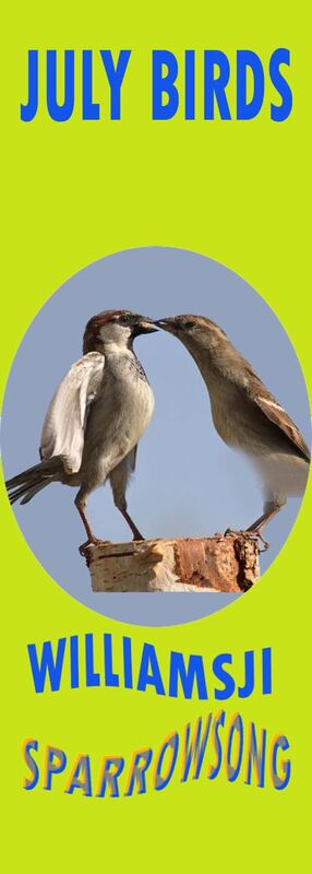JULY BIRDS: DAY  27:   WILLIAMSJI MAVELI  CO-WRITES WITH  SPARROWSONG, A SPARROW SONG ...