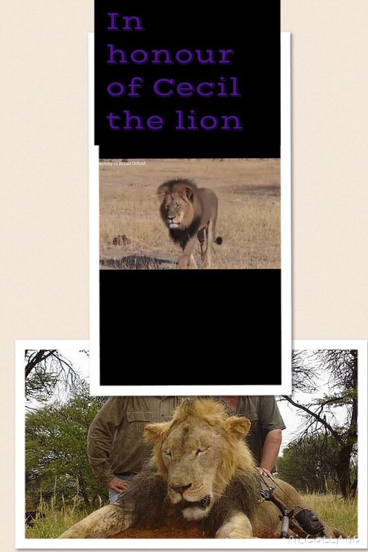 In honour of Cecil the lion 