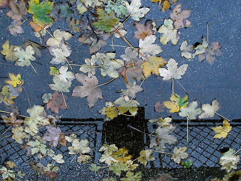 Passage