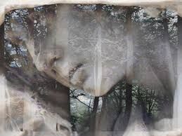 She walks the woods in the early morn She walks the woods in the early morn