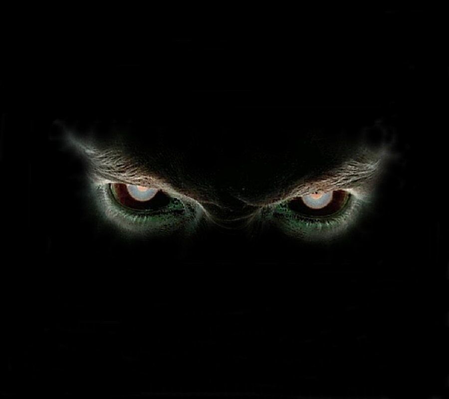 The Eyes of a Demon The Eyes of a Demon