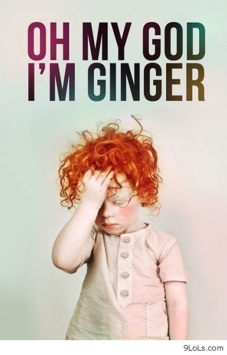 " O.M.G...I,M SO GINGER !"?X " O.M.G...I,M SO GINGER !"?X