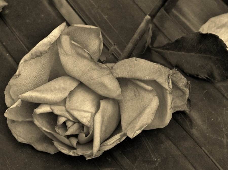DEATH IS A FRIEND DEATH IS A FRIEND