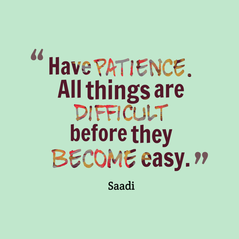 The Good Patient The Good Patient