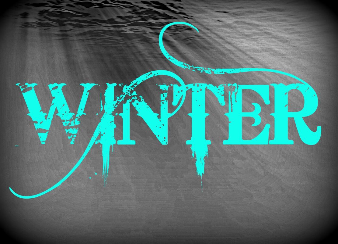 Winter Winter