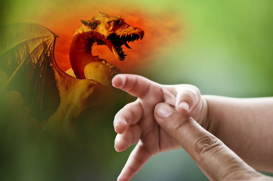 Dragon Dragon